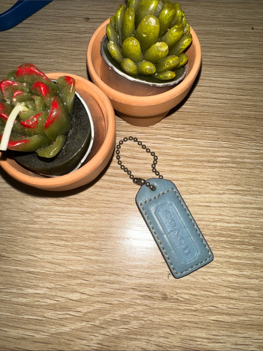 Authentic Coach Reversible Leather Hangtag Tan Light Blue with original chain